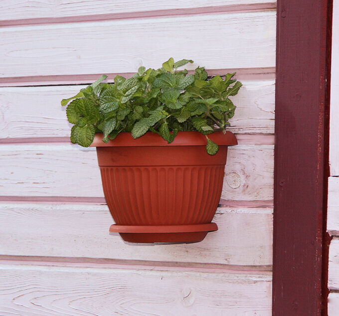 Кашпо настенн. "Ливия" Терракт Д220мм М3111