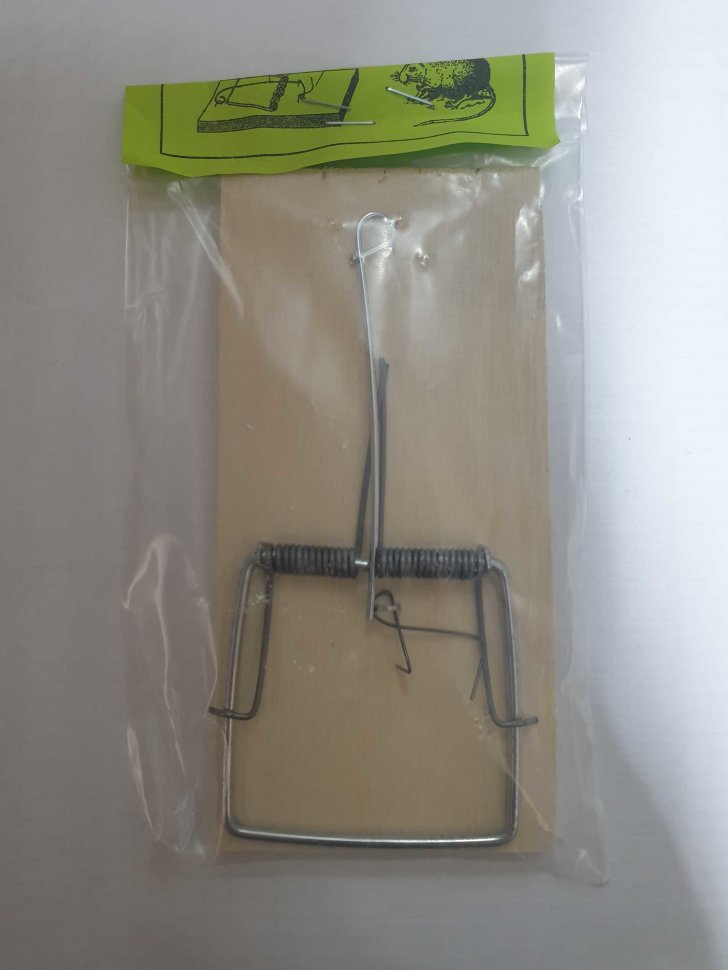 Мышеловка дерево большая