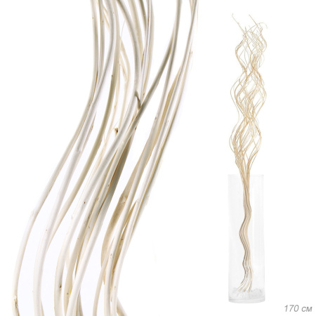 Сухоцвет н-р 20шт 170см Ветка белая 705520